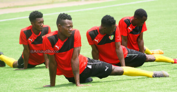 Éperviers locaux du Togo