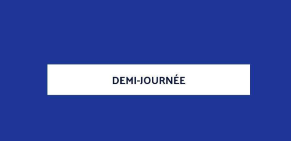Démi journée secteur public camerounais
